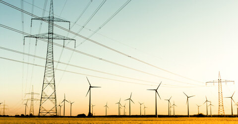 Power poles and wind turbines in autumn sunlight picture