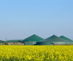 Image showing a biogas plant is a field of raper seed