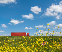 Image showing a long red transport truck in a flower filled landscape