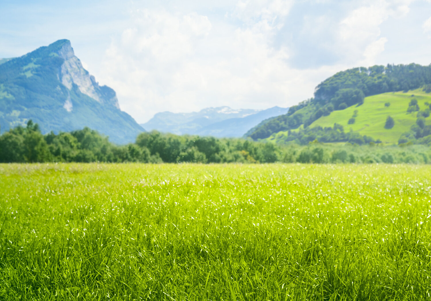 Image showing a meadow in the mountains