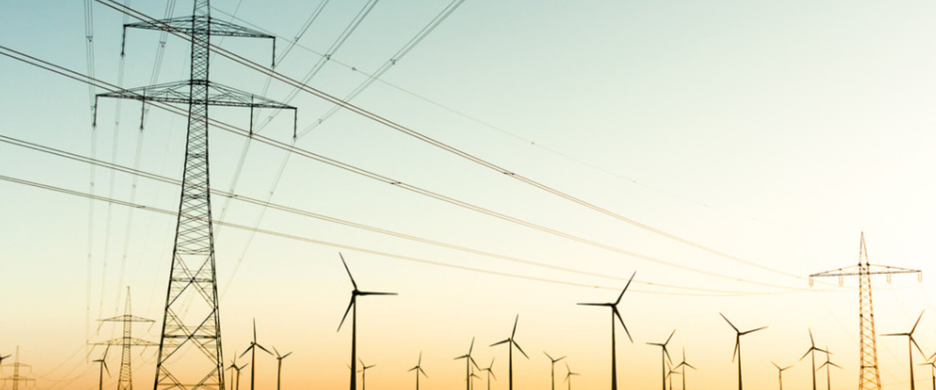 Power poles and wind turbines in autumn sunlight picture