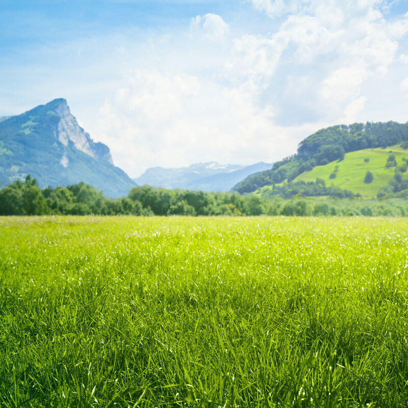 Image showing a bright green meadow with mountains in the distance