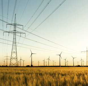 Image showing power lines and wind turbines in autumn sunlight