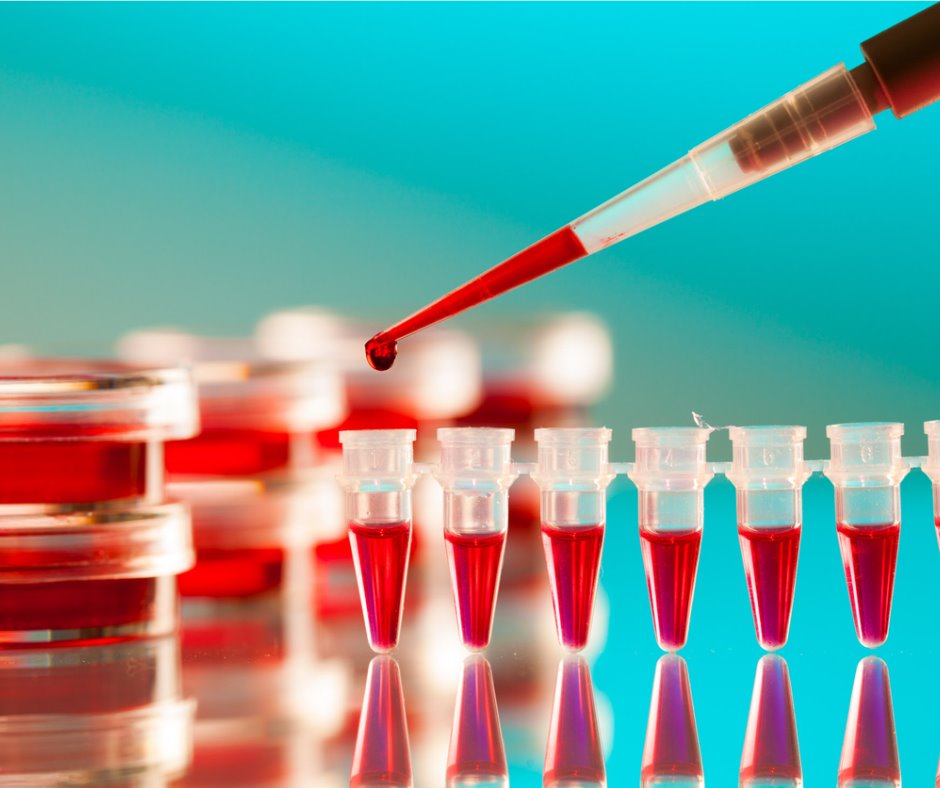 TLM pipette and pcr strip picture id874856472