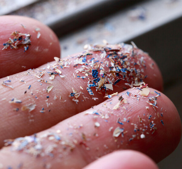 Image showing Microplastic particles