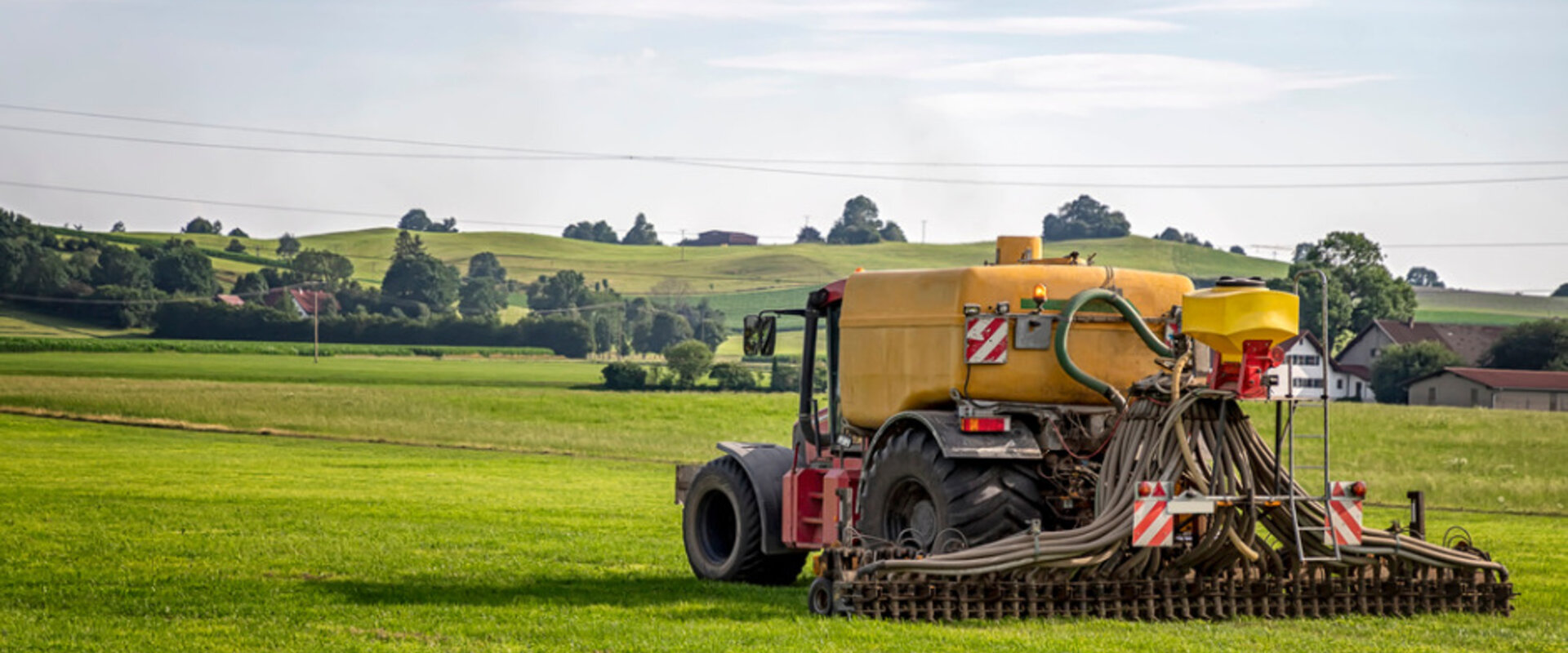 In the early morning light a tractor in the foreground is spraying pesticide over rows of low plants in a large open field